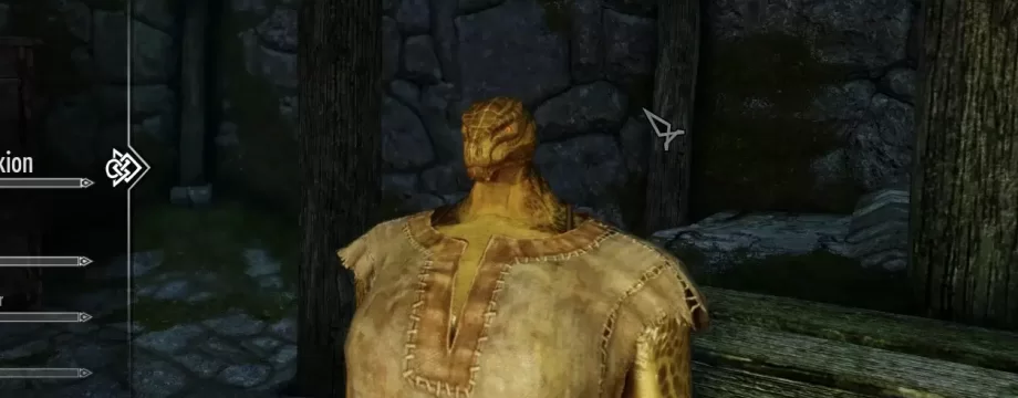 Модороб створив модифікацію, яка робить крихітні голови у TES: Skyrim