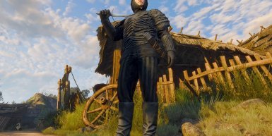 Як отримати Нільфгаардську броню з серіалу Netflix у грі Відьмак 3: Дикий Гін