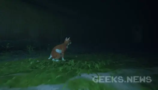 Як встановити вид від першої особи в Stray