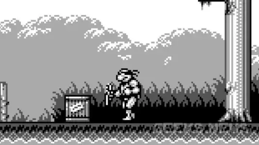 TEENAGE MUTANT NINJA TURTLES III: RADICAL RESCUE (1993)