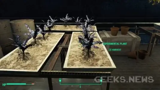 Корінь Нірна Fallout 4