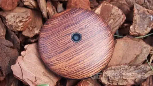 Мобільна кунсткамера