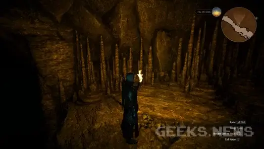 Як отримати арбалет Школи Ведмедя у грі Відьмак 3